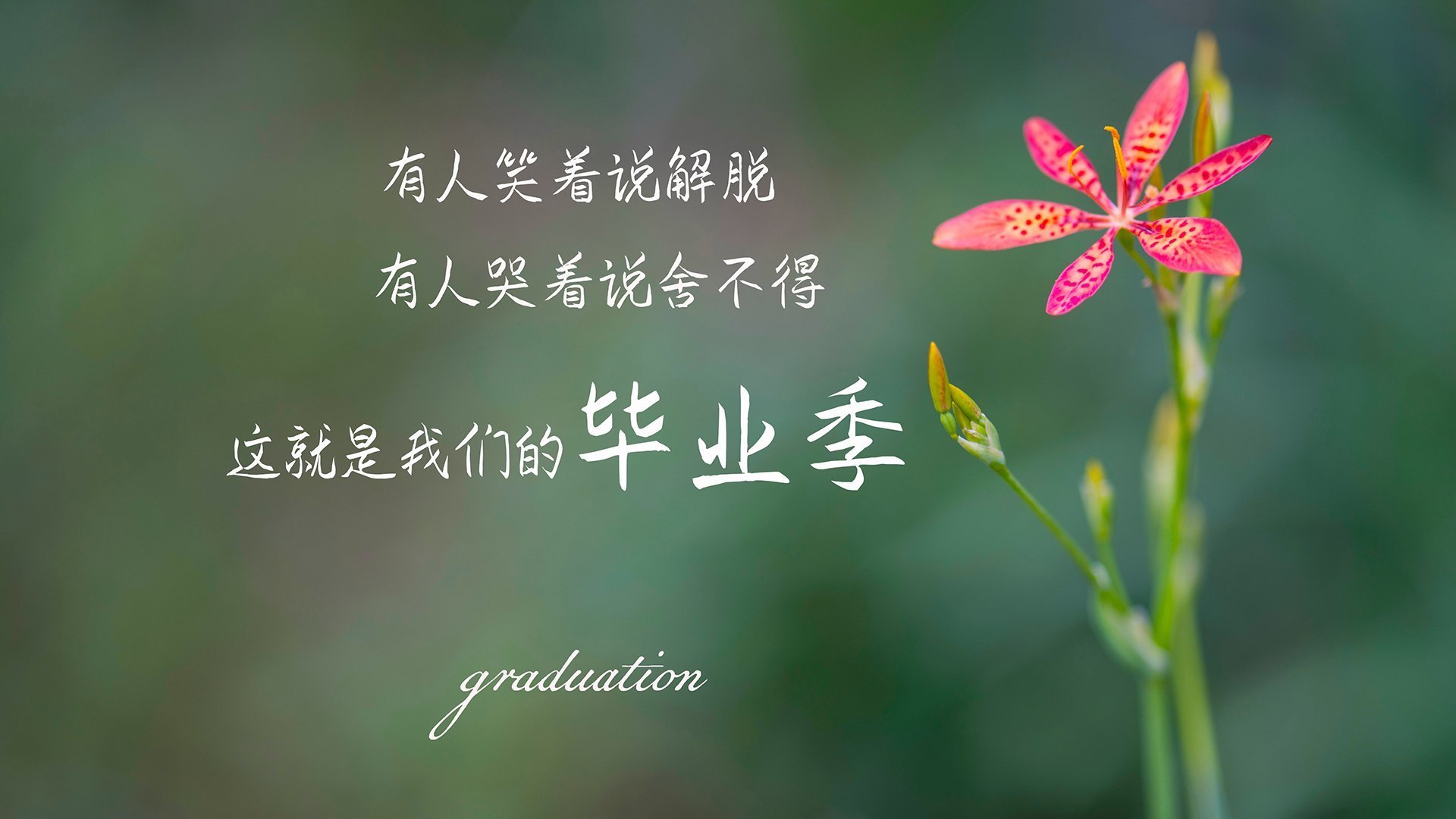 柴油发电机组一般包括几部分组成（柴油发电机主要组成部分）