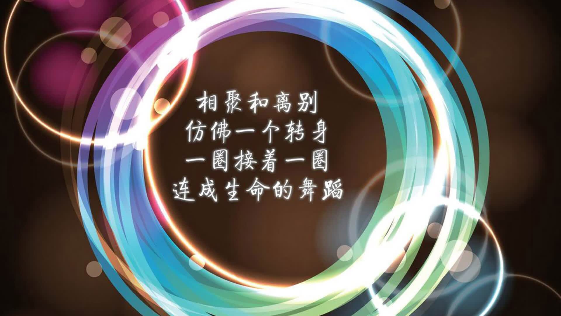 stamford发电机官网（stamford发电机什么牌子）